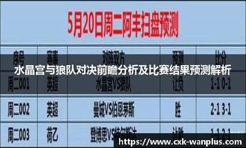 水晶宫与狼队对决前瞻分析及比赛结果预测解析